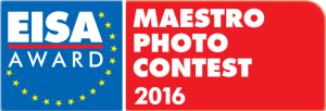 Logo-maestro-2016
